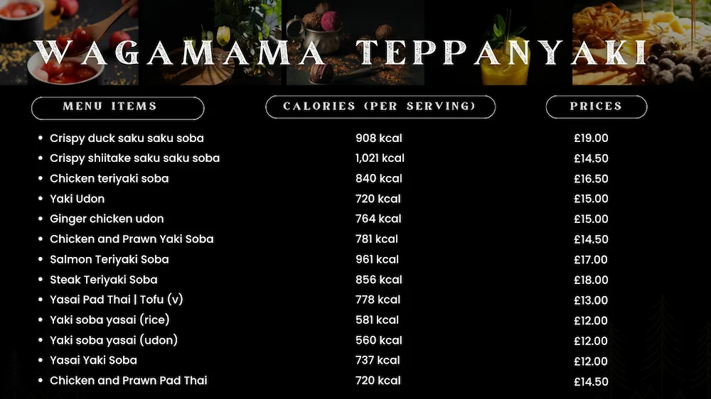Teppanyaki Noodles